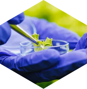 提供多方麵服務