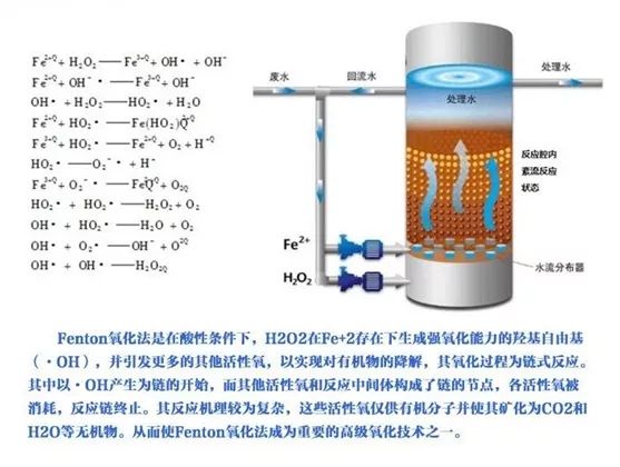 1631498775122174.jpg 3.jpg